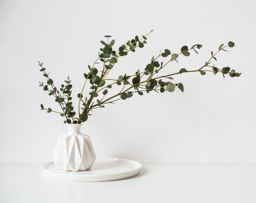Annebiente Inneneinrichtung Vase mit Pflanze